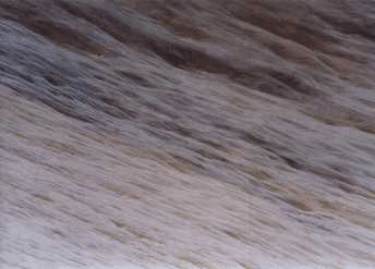 Solimoees and Rio Negro meet