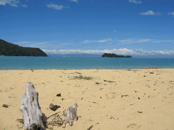 Abel Tasman