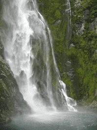 waterfall - Milford Sound
