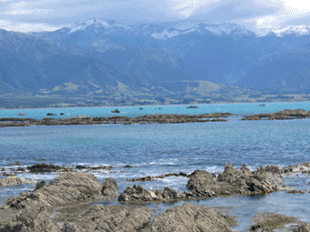 Kaikoura